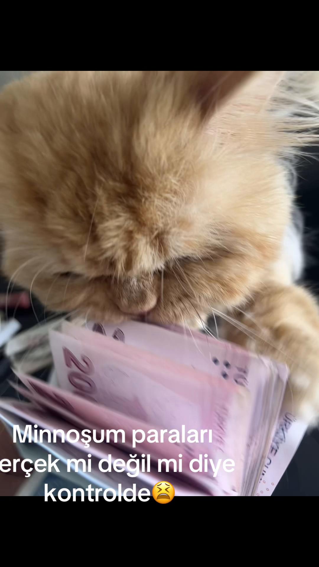 @Nagihan Uz