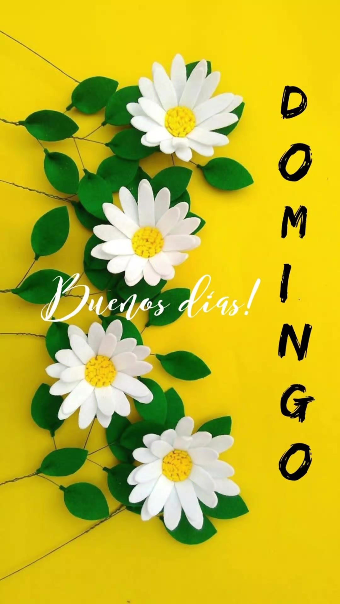 @🌼🅣︎🅐︎🅤︎🅡︎🅘︎🅝︎🅐︎🌼🇨🇱