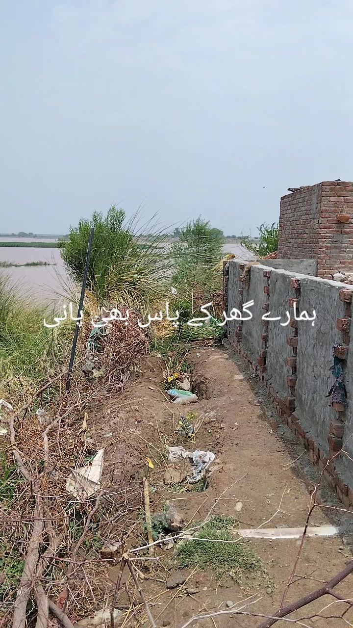 @shahbaz Punjabi 0786