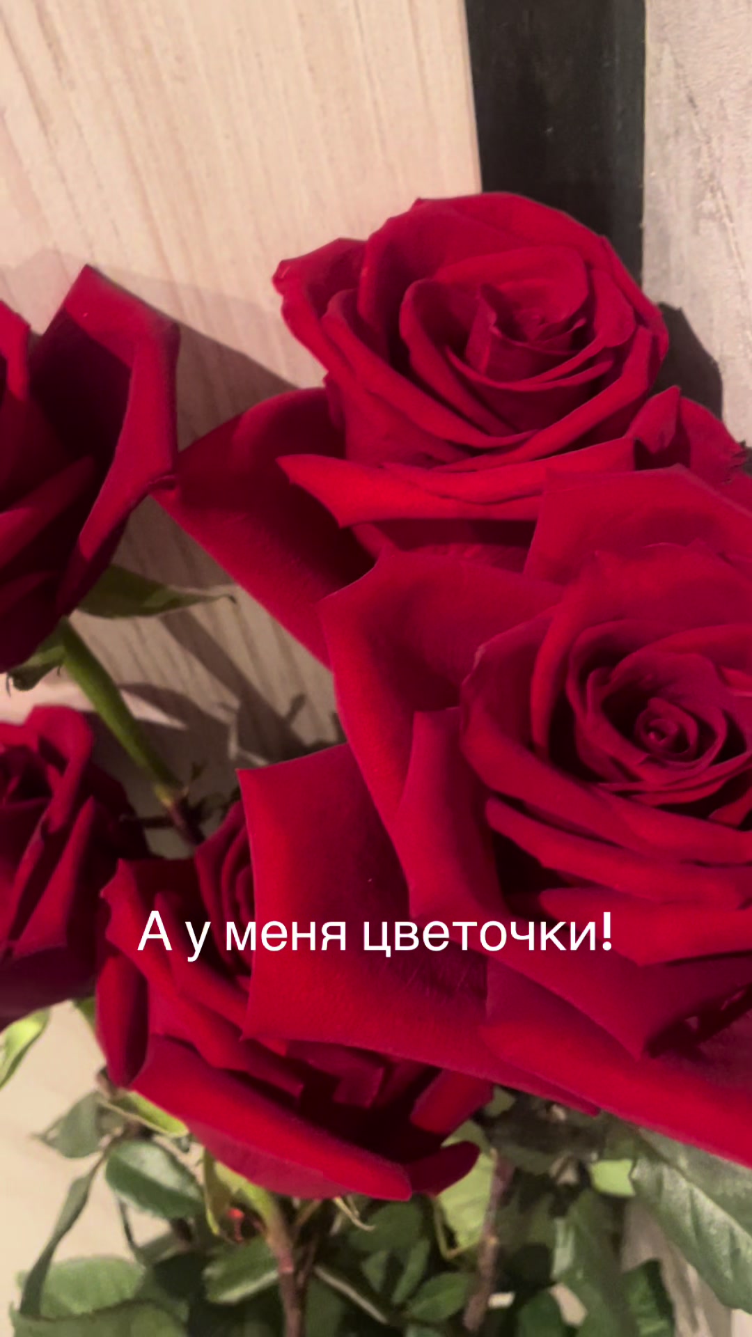 @bobovkotatiyana