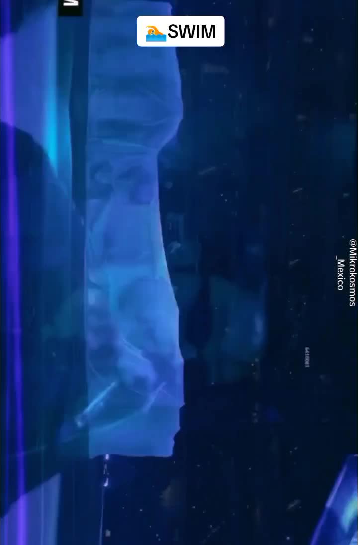 @_jk_bts4