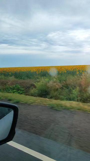 @Татьяна Инякина