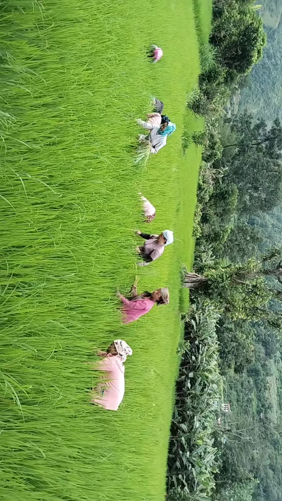 @Devi Khatri