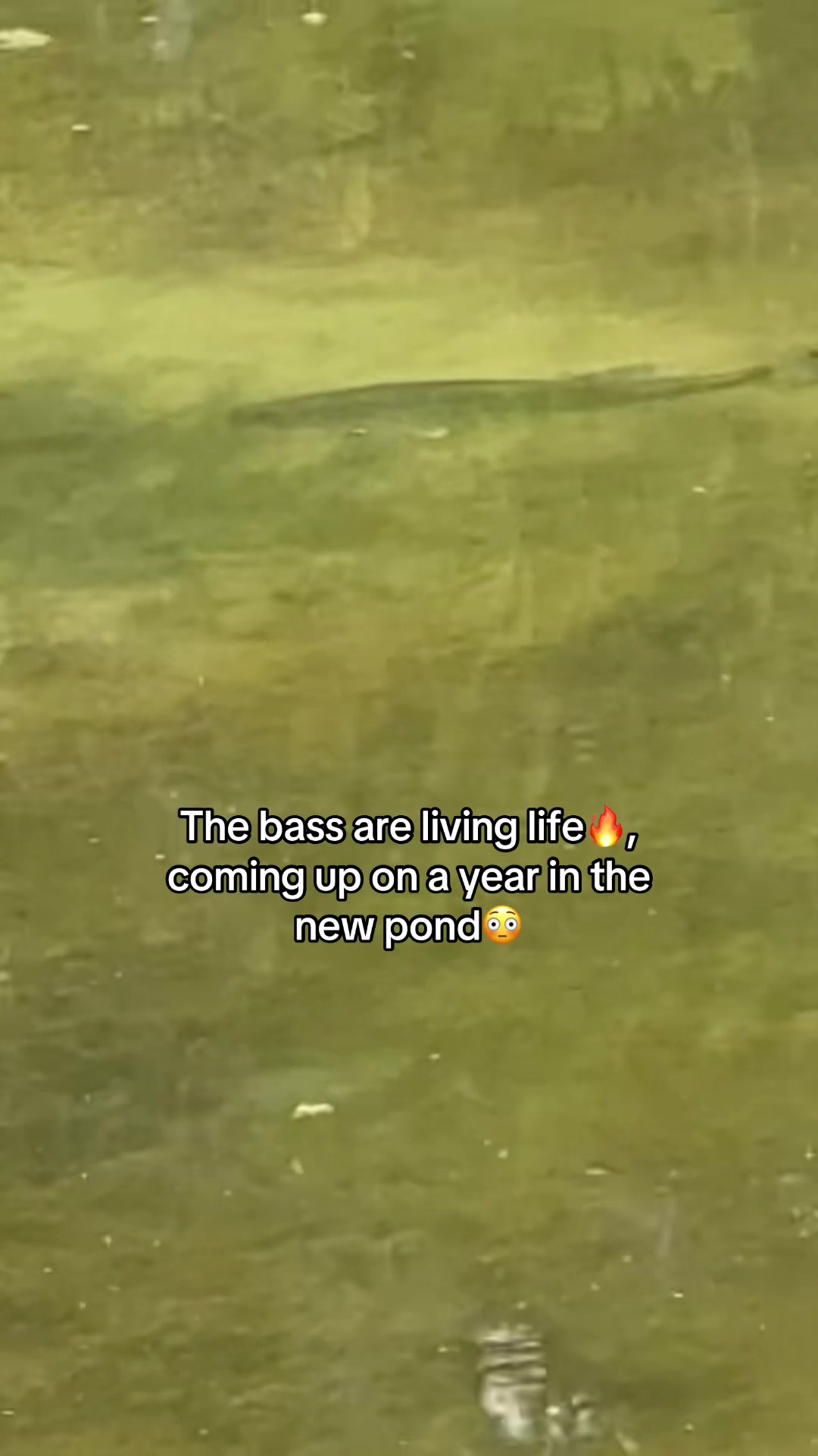 @Unemployed Fishing