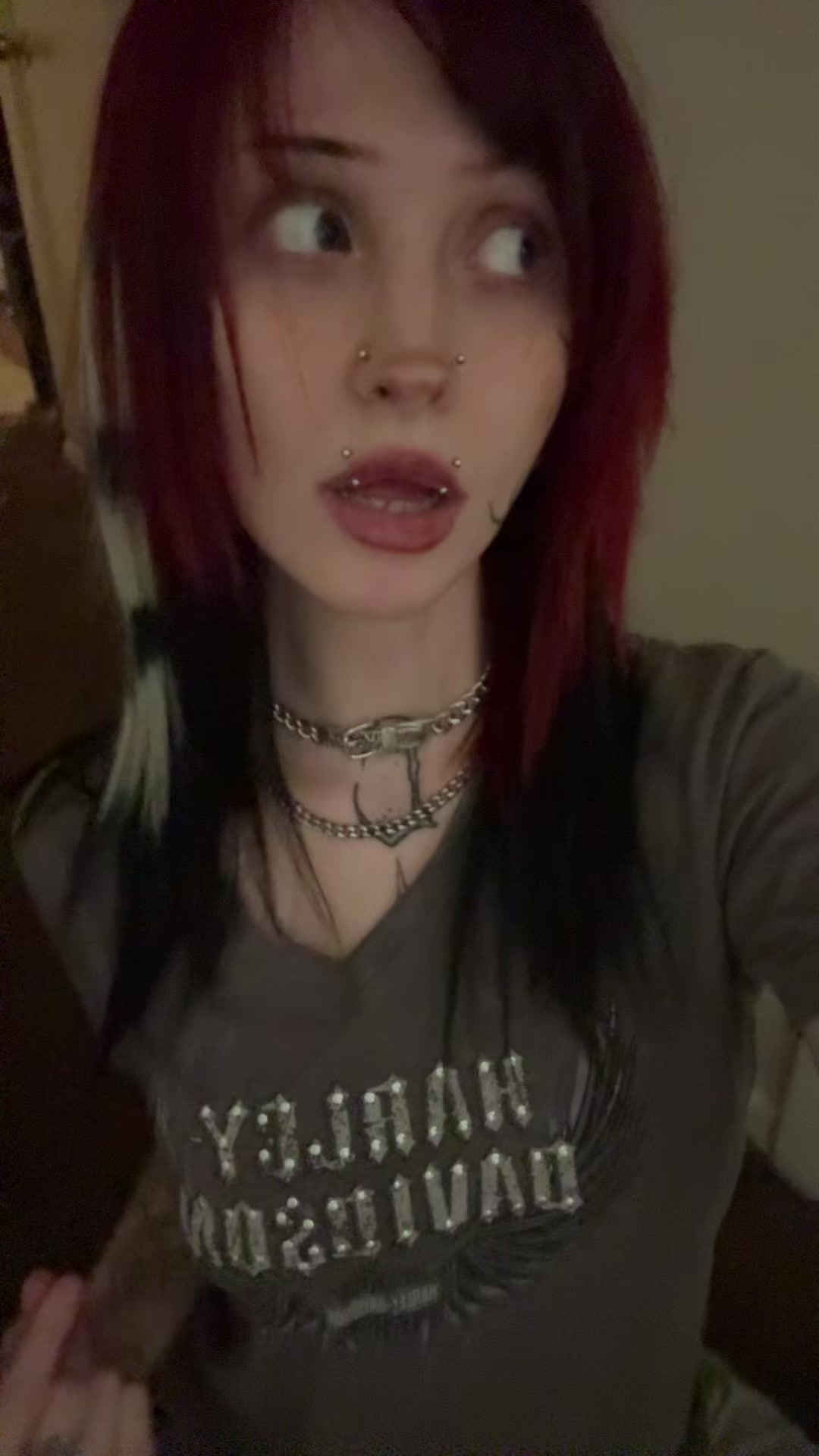 @ᴛʜᴇʏᴍɪɢʜᴛʙᴇʟᴏᴜᴅᴍᴀɢɢᴏᴛꜱ