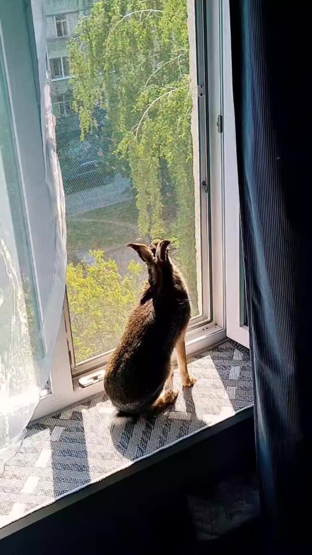 @зайка Блума💋