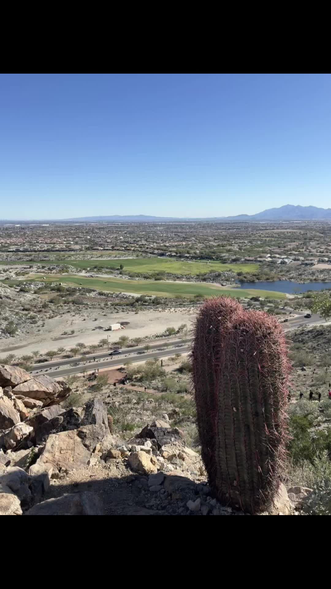 @deedee_tennessee_gal_in_az
