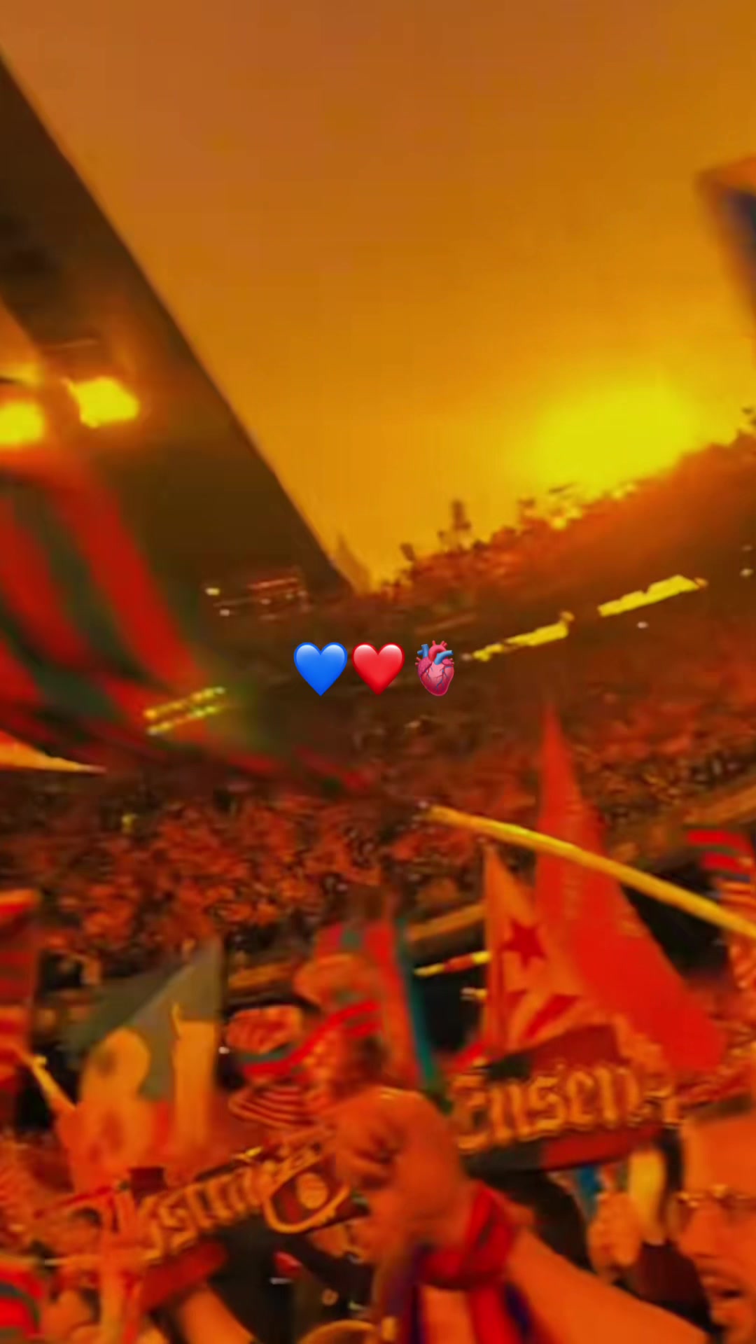 @Alexis10💙❤️
