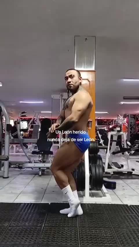 @Alexthefit