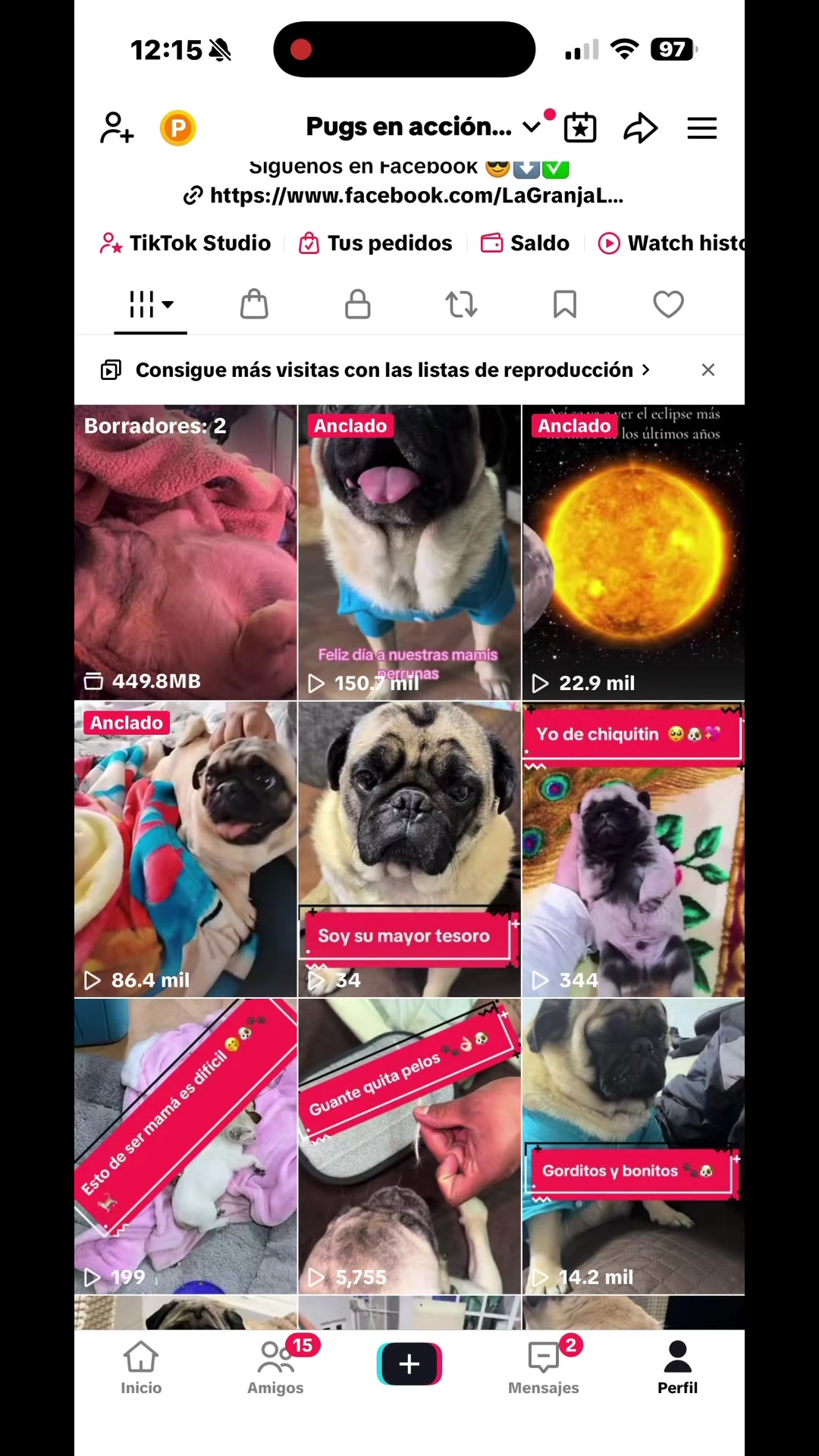 @Pugs en acción 🐶