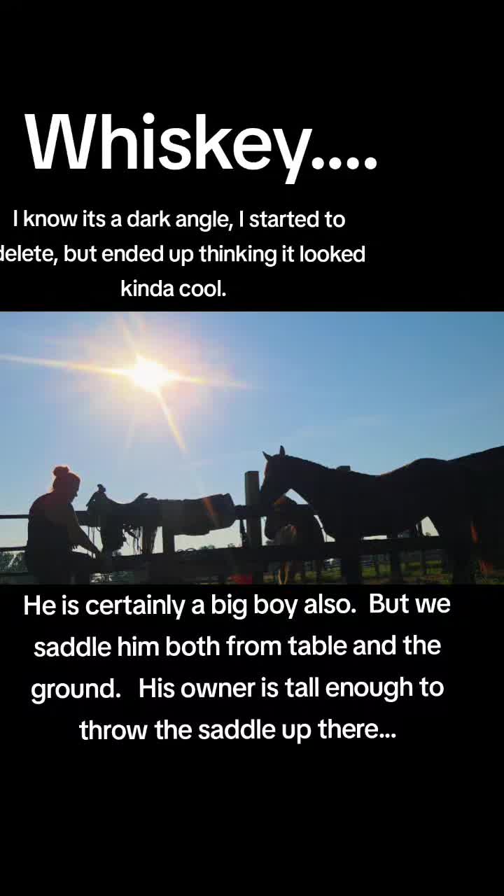 @CactusLMules