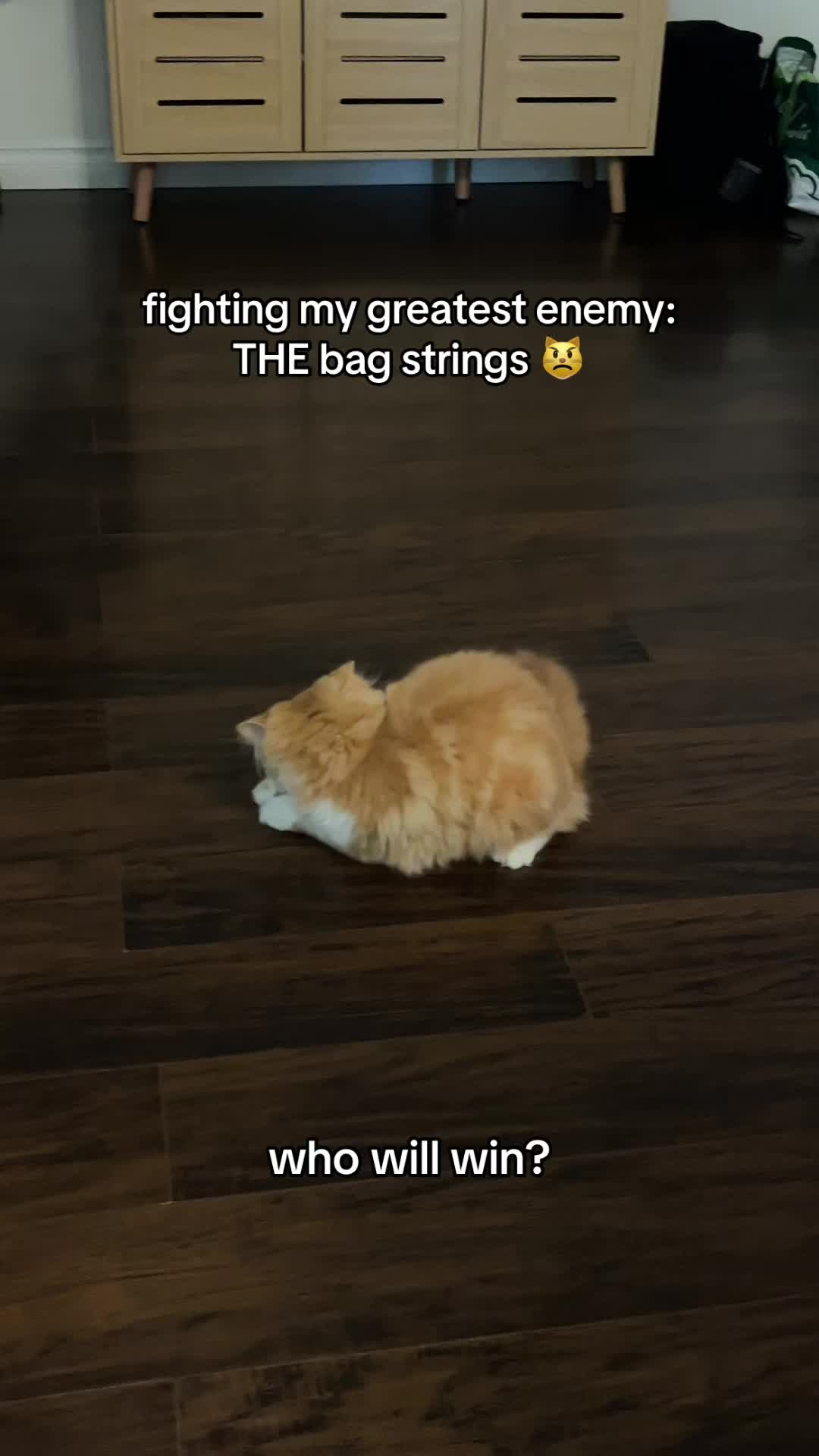 @somithepersian
