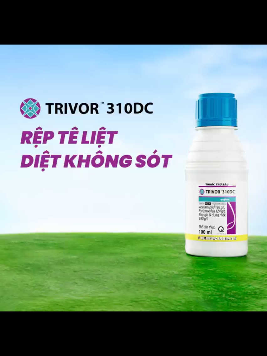 @VTNN Minh Tuấn