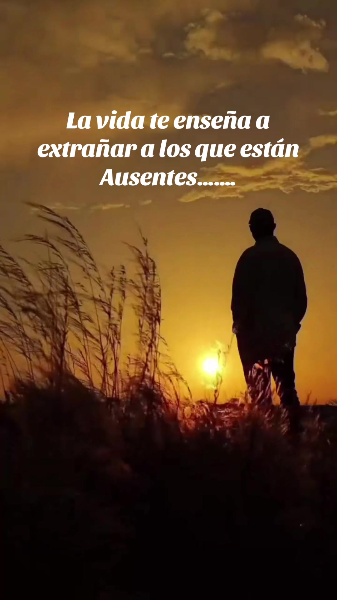 @Raul1961