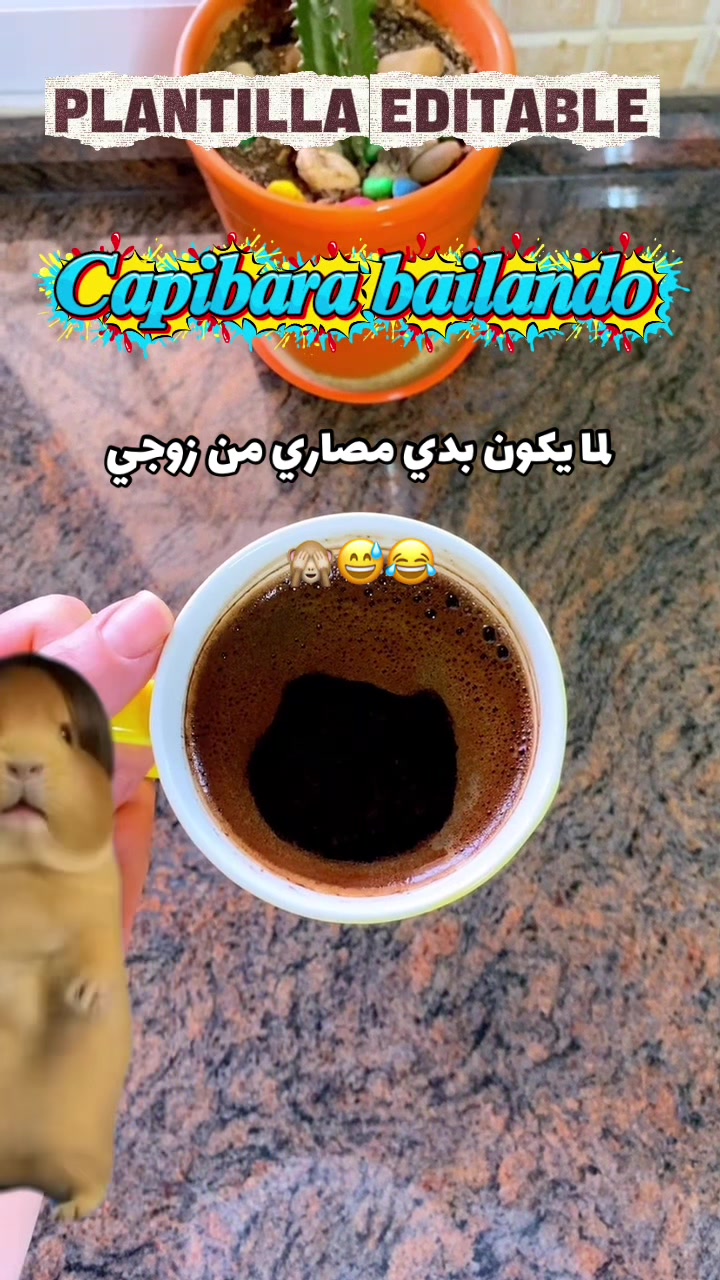 @AsoOl🫶🏻
