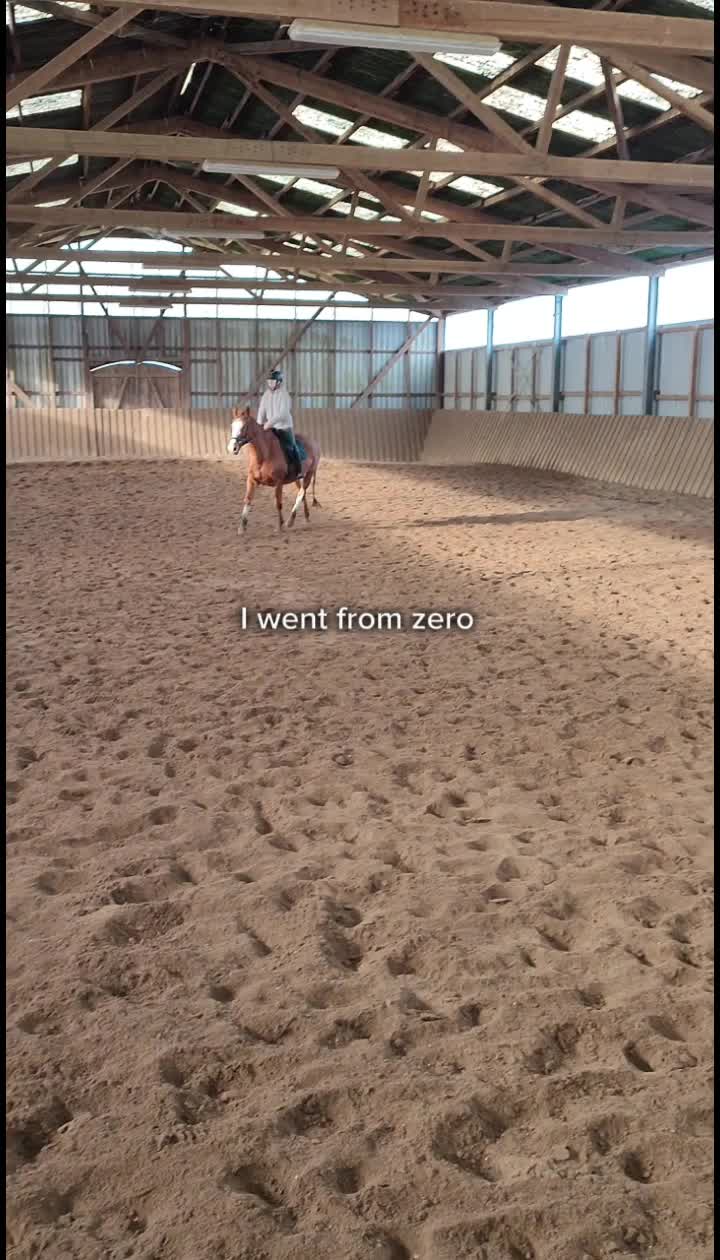 @Horses 🫶🌺