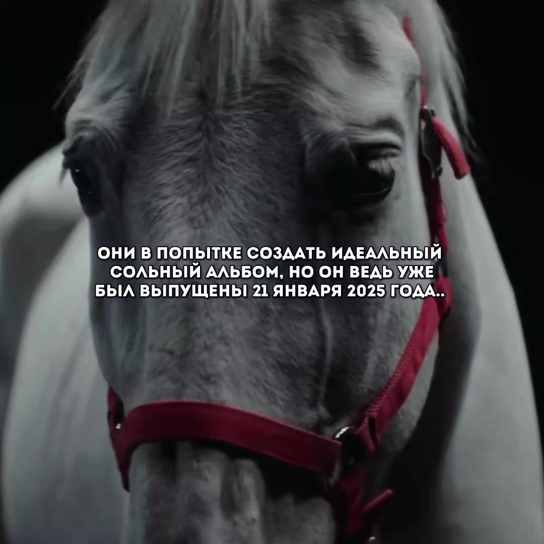 @элиолла 𐓏