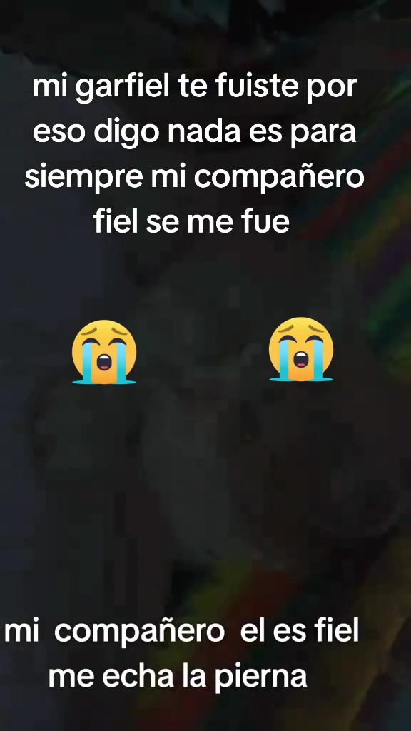 @BeronicaSanchez