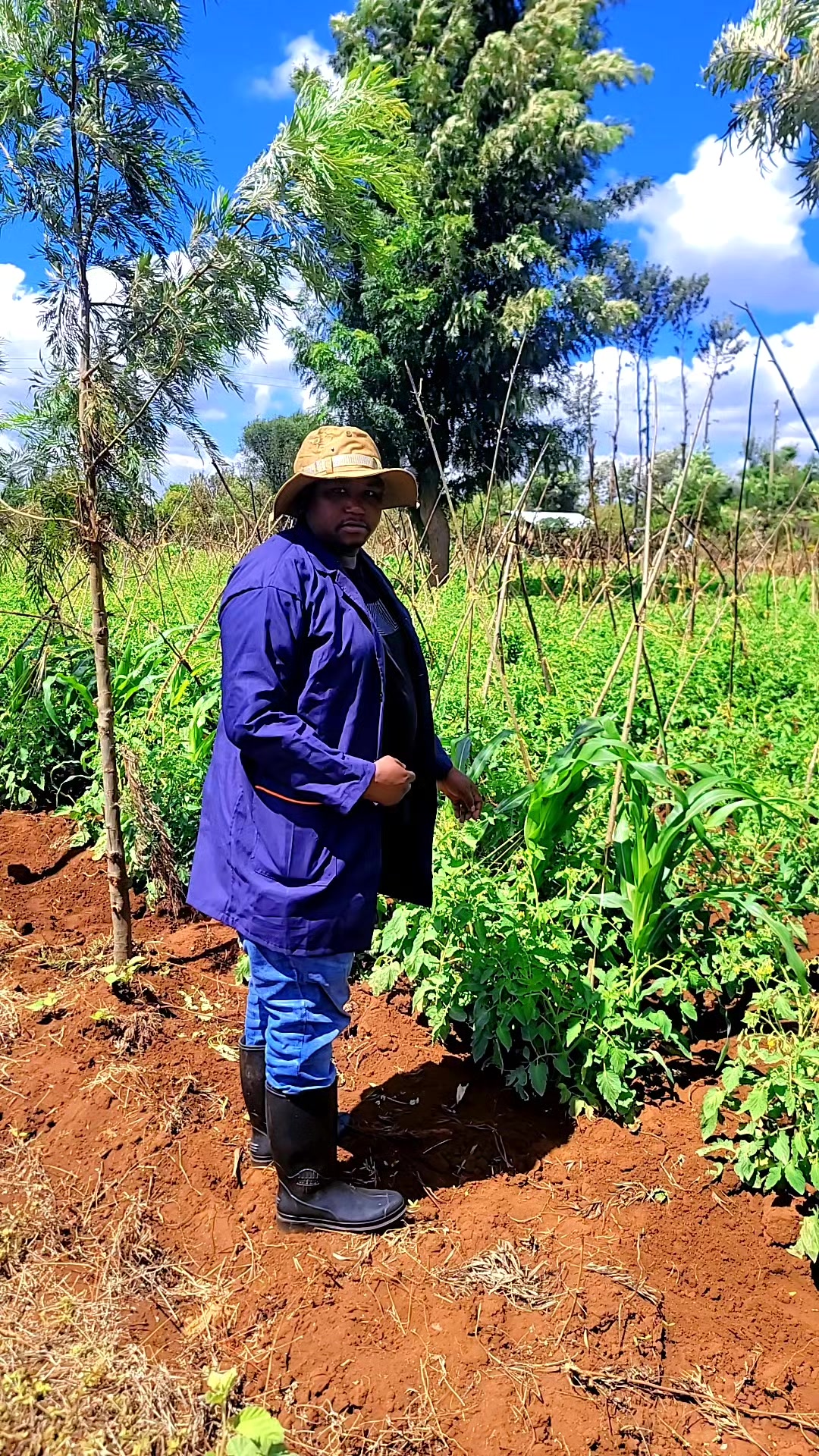 @Ng'endo wa tujenge mabati