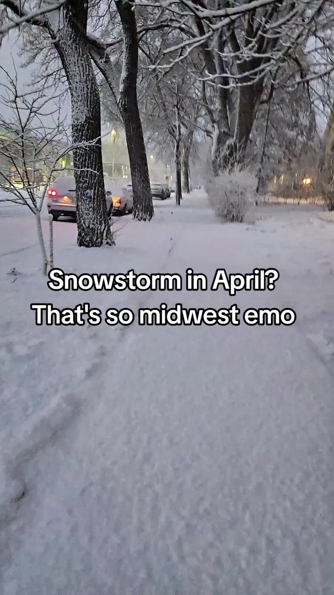 @midwest emo fan