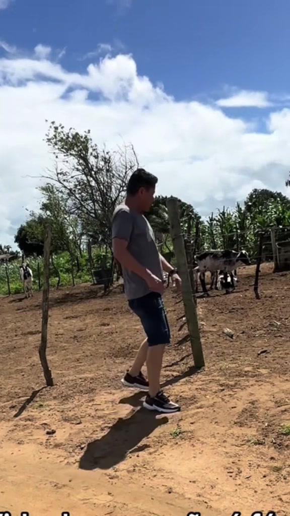 @Z&eacute; bebinho da mam&atilde;e oficial