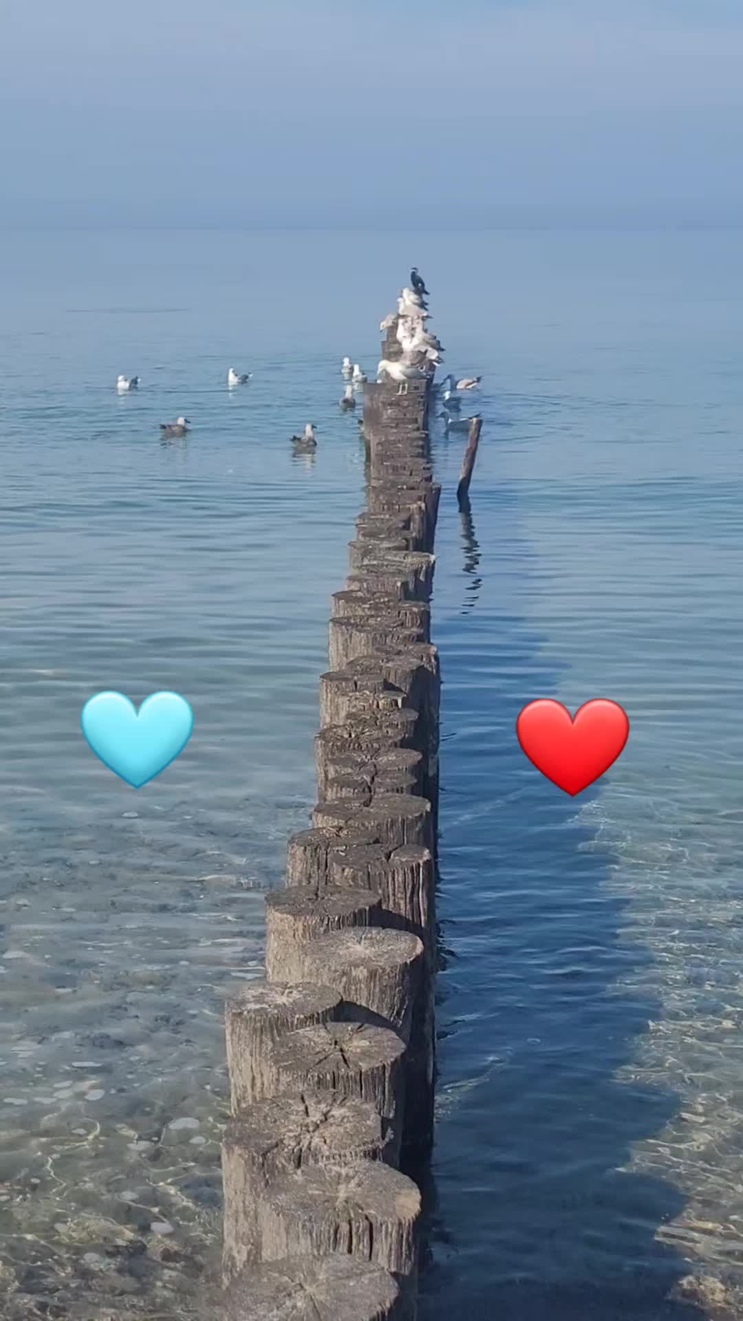 @f__king_perfekt_