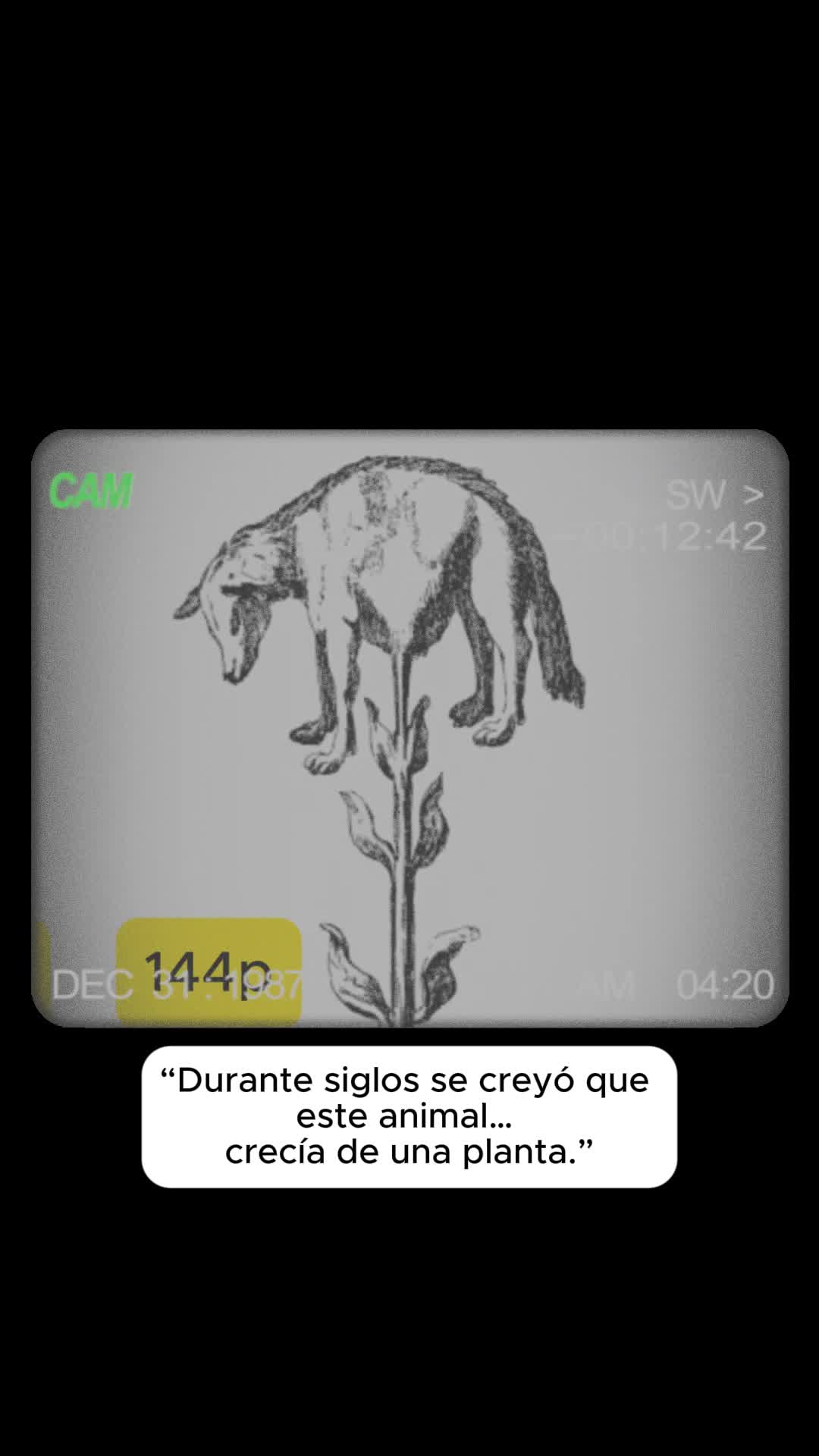 @Santiago Zavala