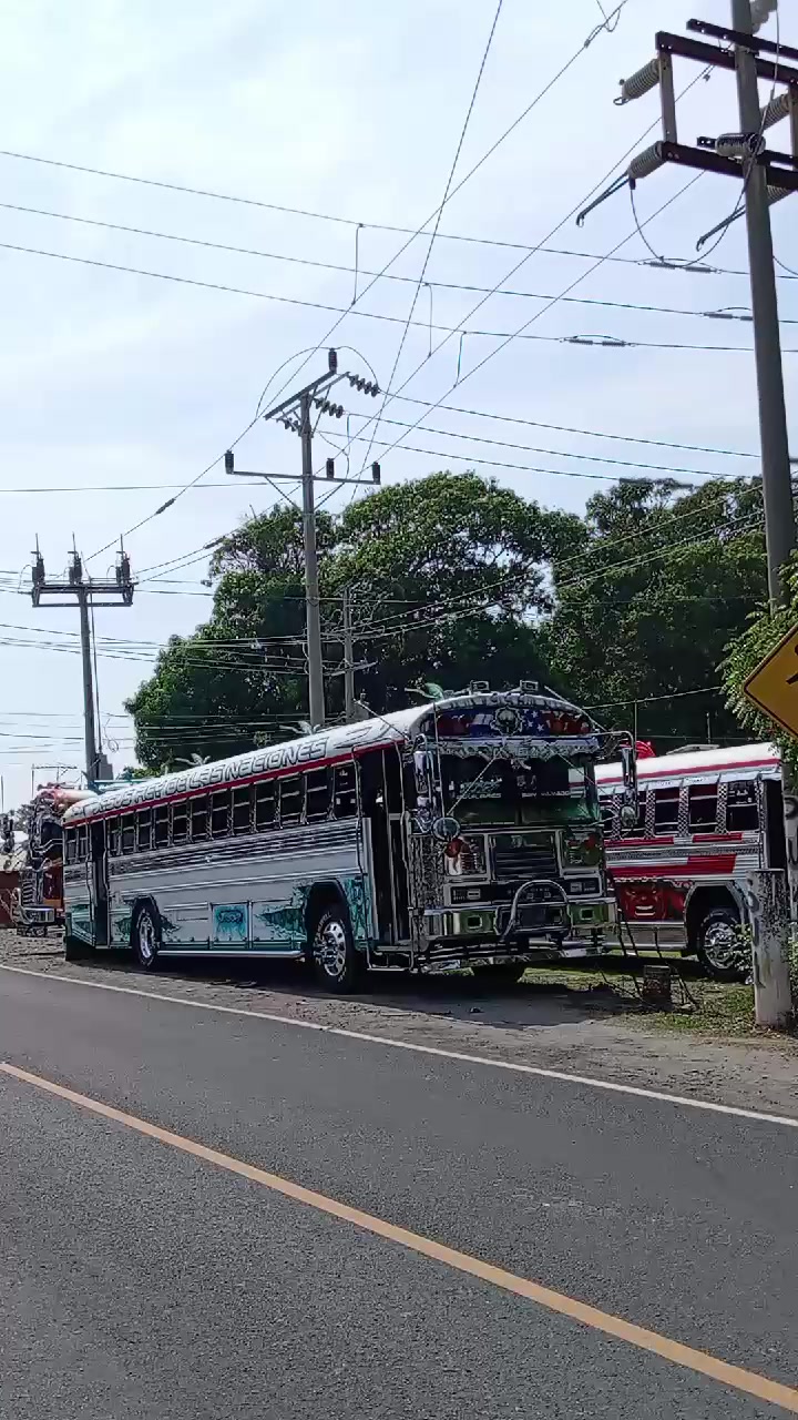 @buses elegantes 503