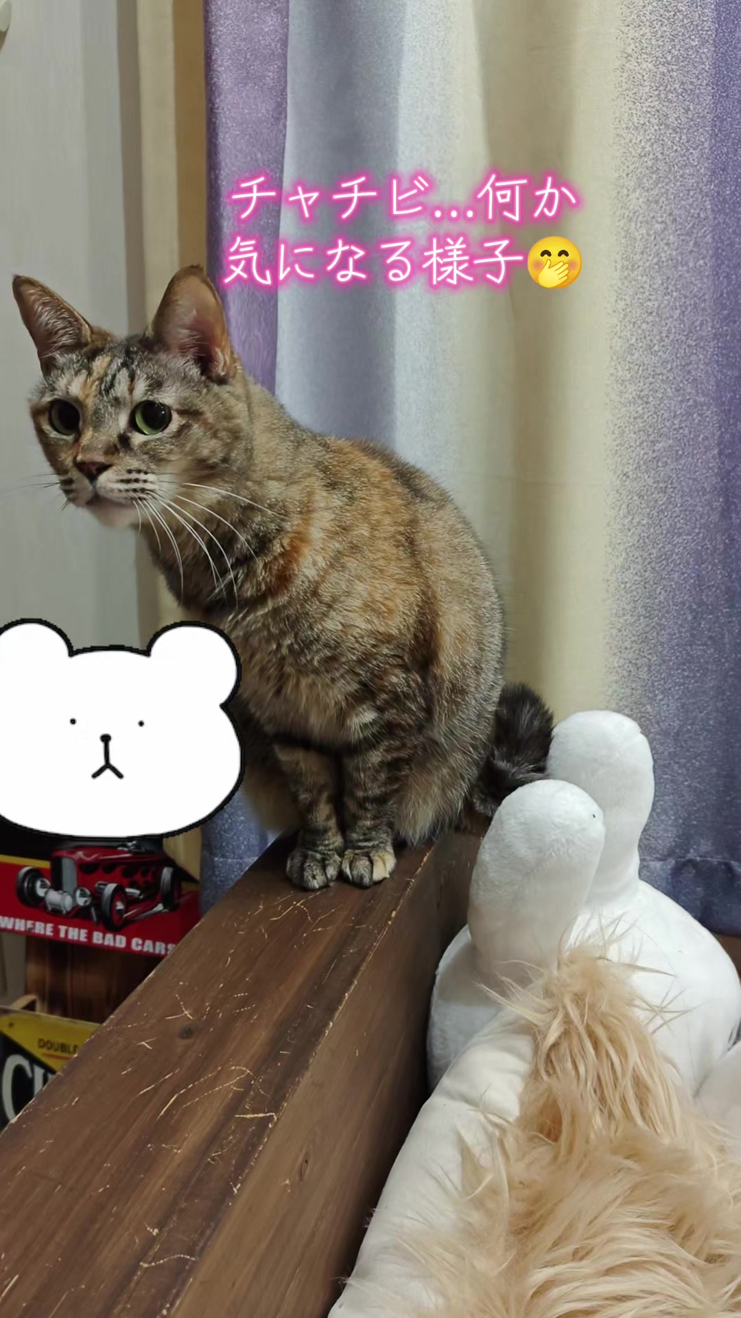 @ANIMAL♡M