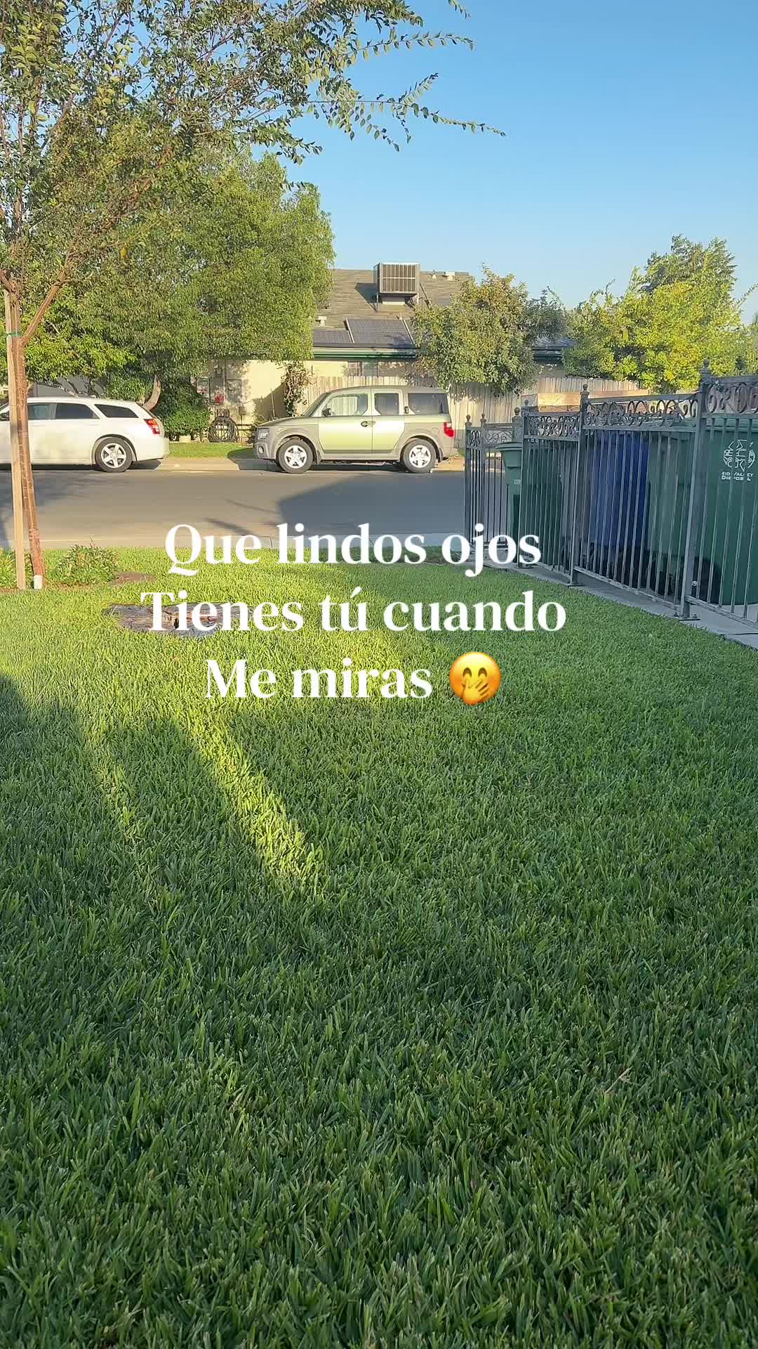 @R✨