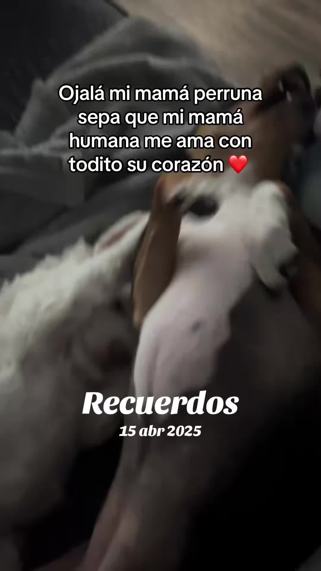 @monimau7
