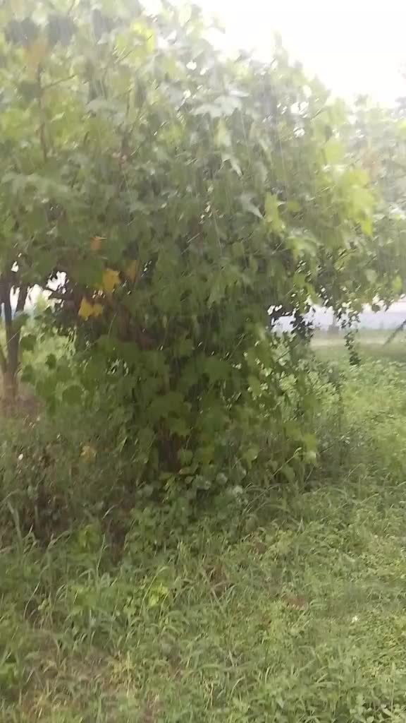 @pramod viswakarma