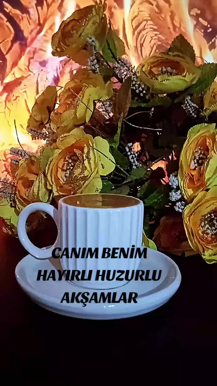 @Hasan Yılmaz