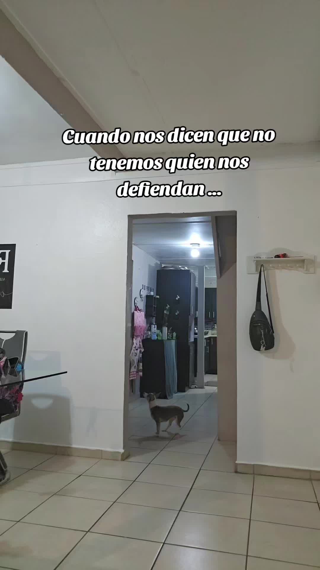 @mariely