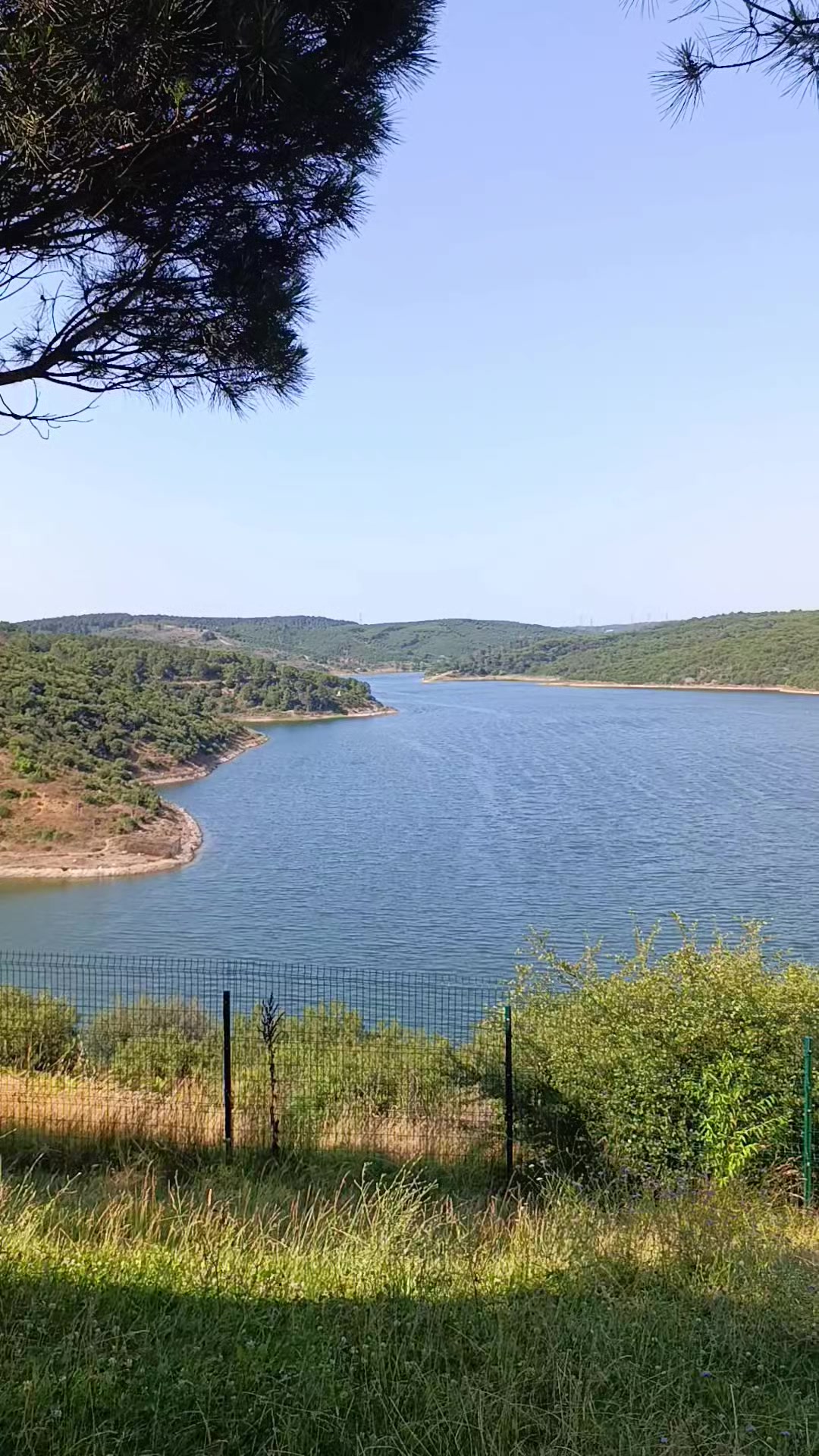 @erkutkarabela