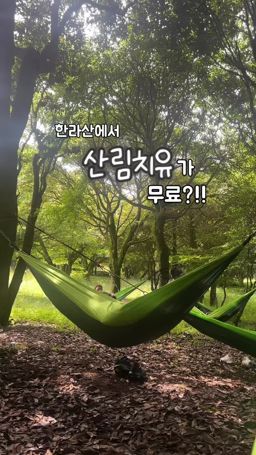 @제주도