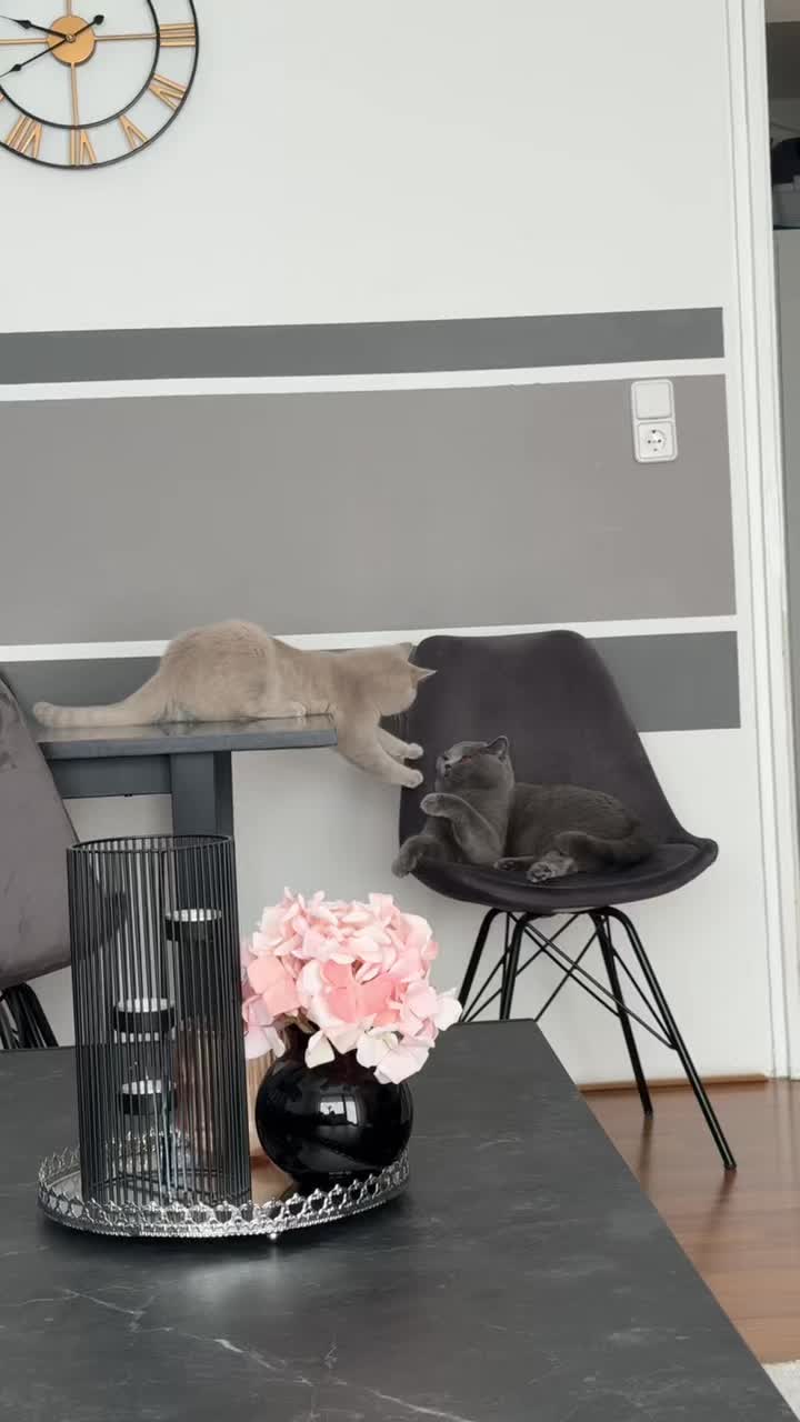 @𝐈 𝐍 𝐀