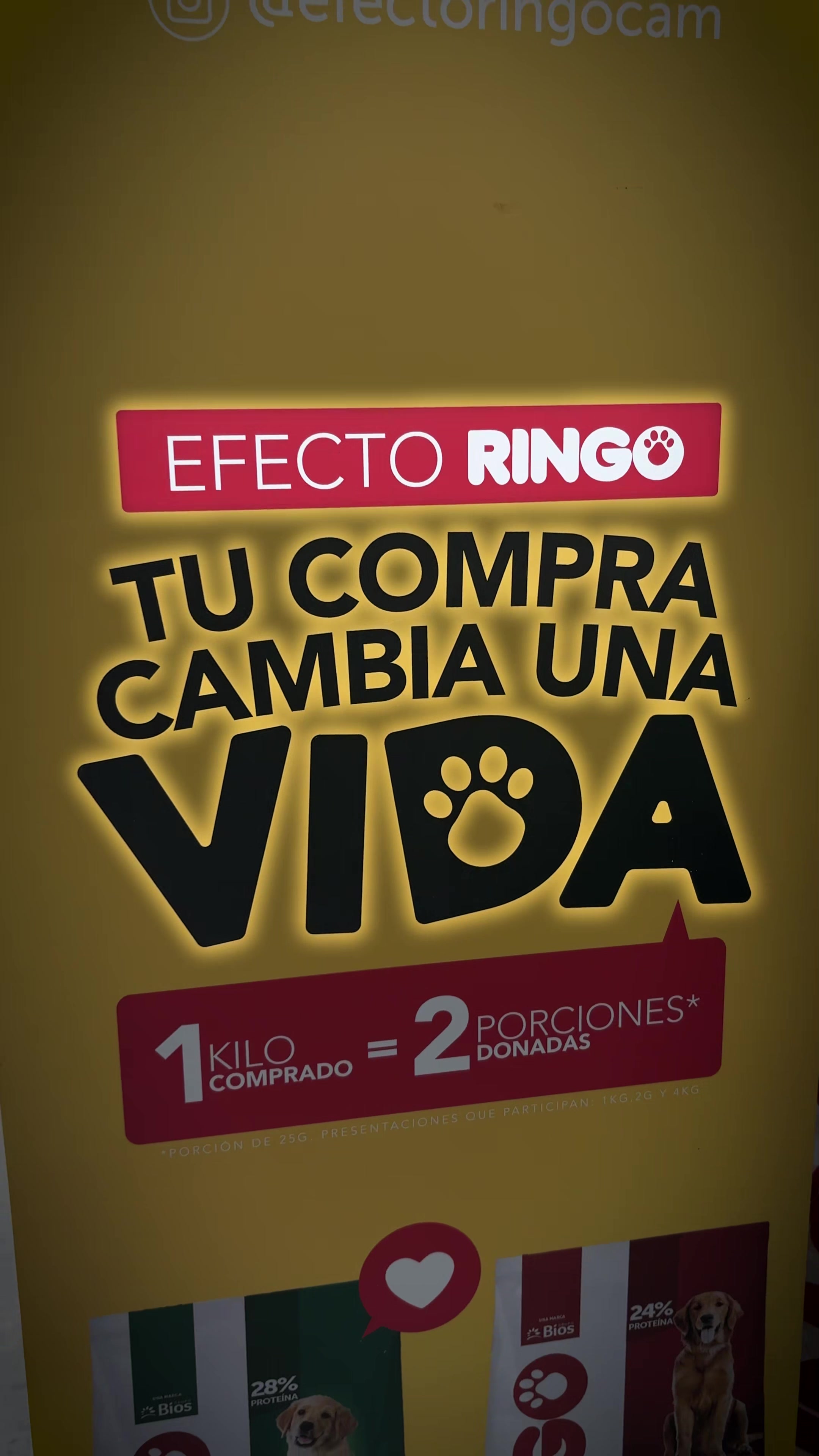 @_elticocr