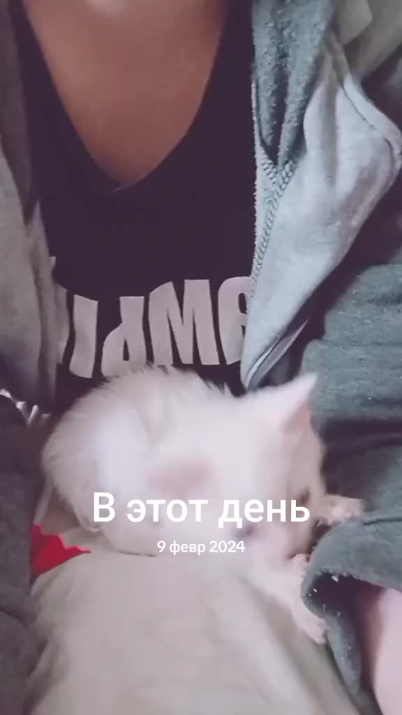 @ОЛЕНЬКА