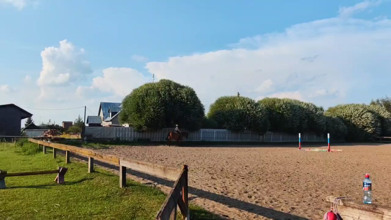 @пыликуснул