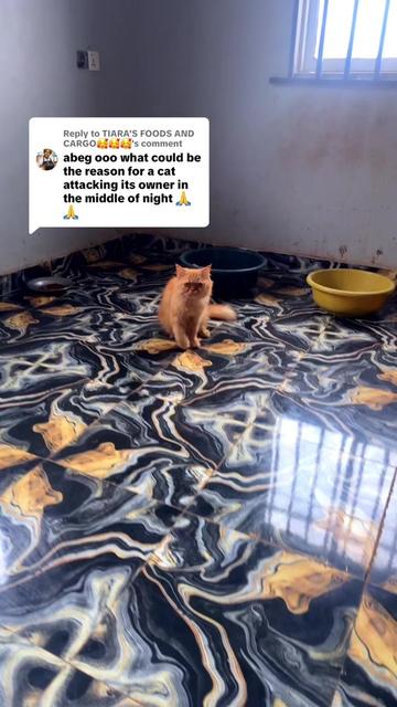 @Bella&rsquo;s Family 🐾