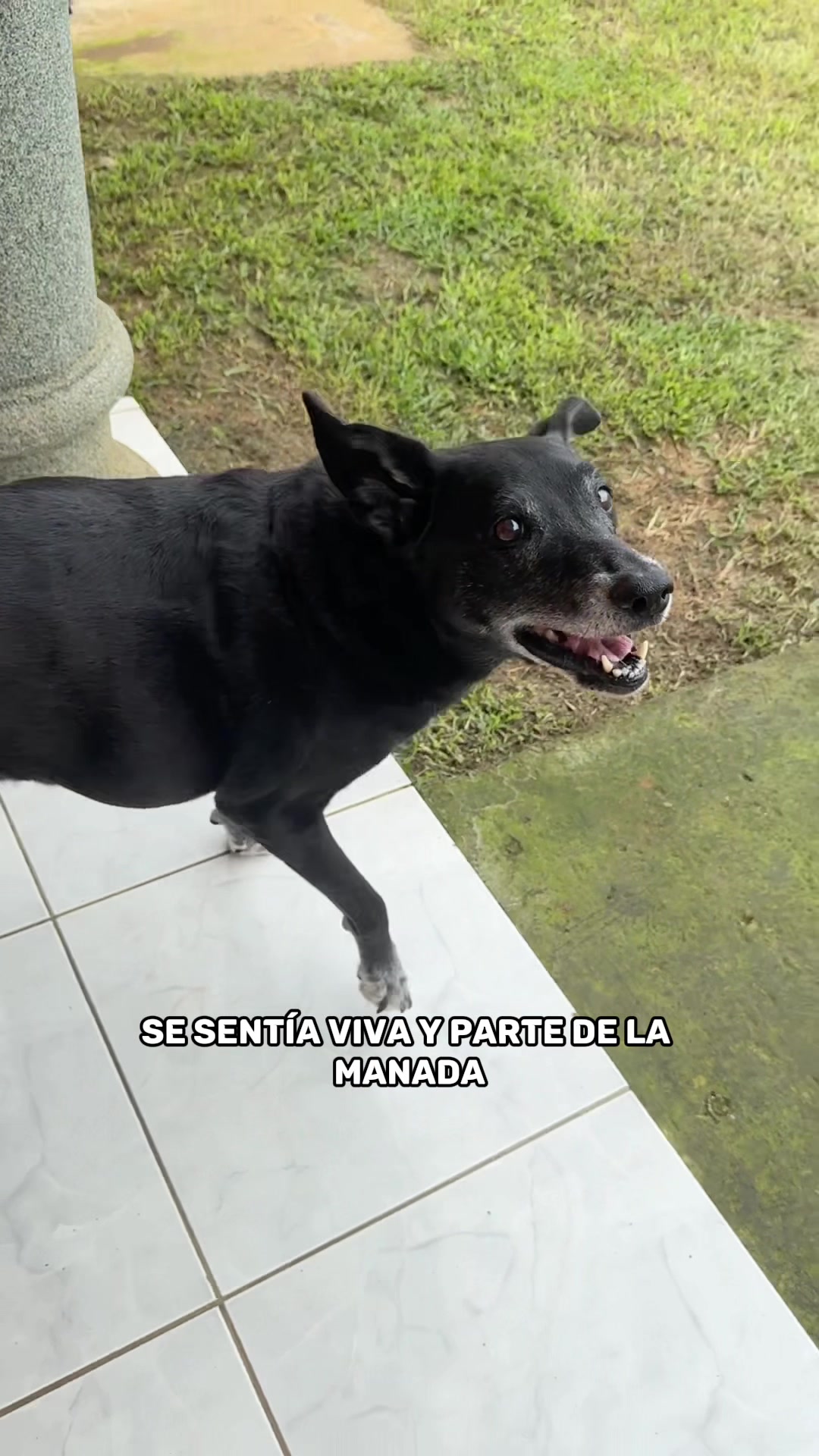 @Logan y Luna