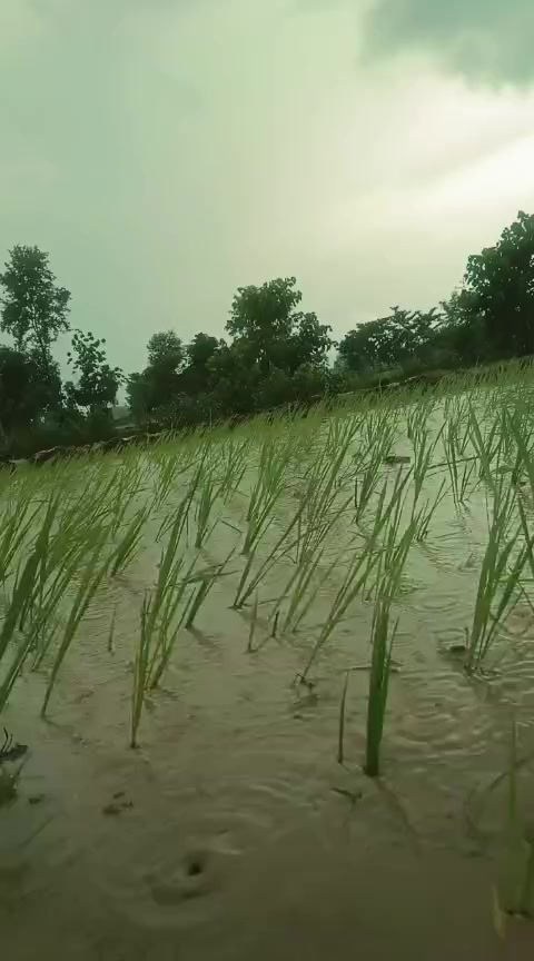 @garimacdy42