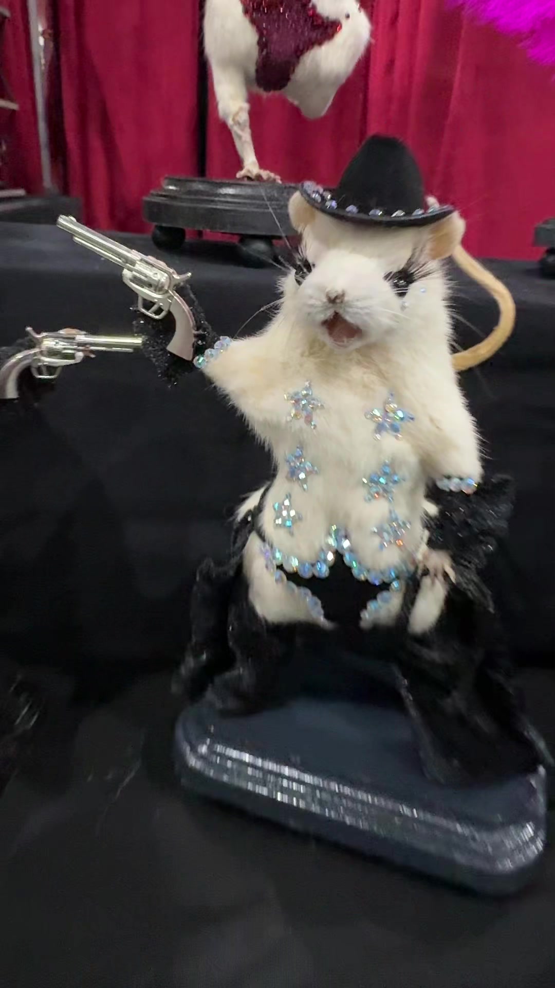 @Oddities & Curiosities Expo