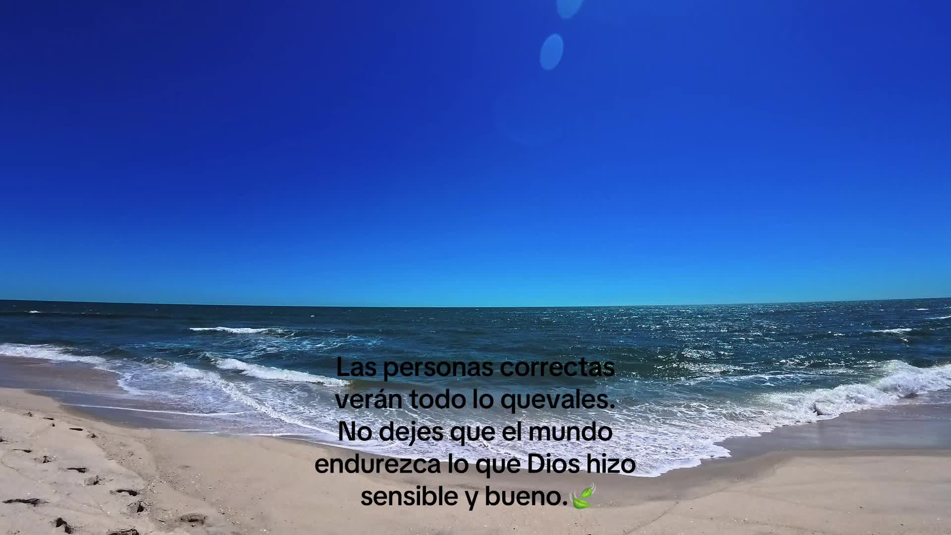 @Evelyn🦋