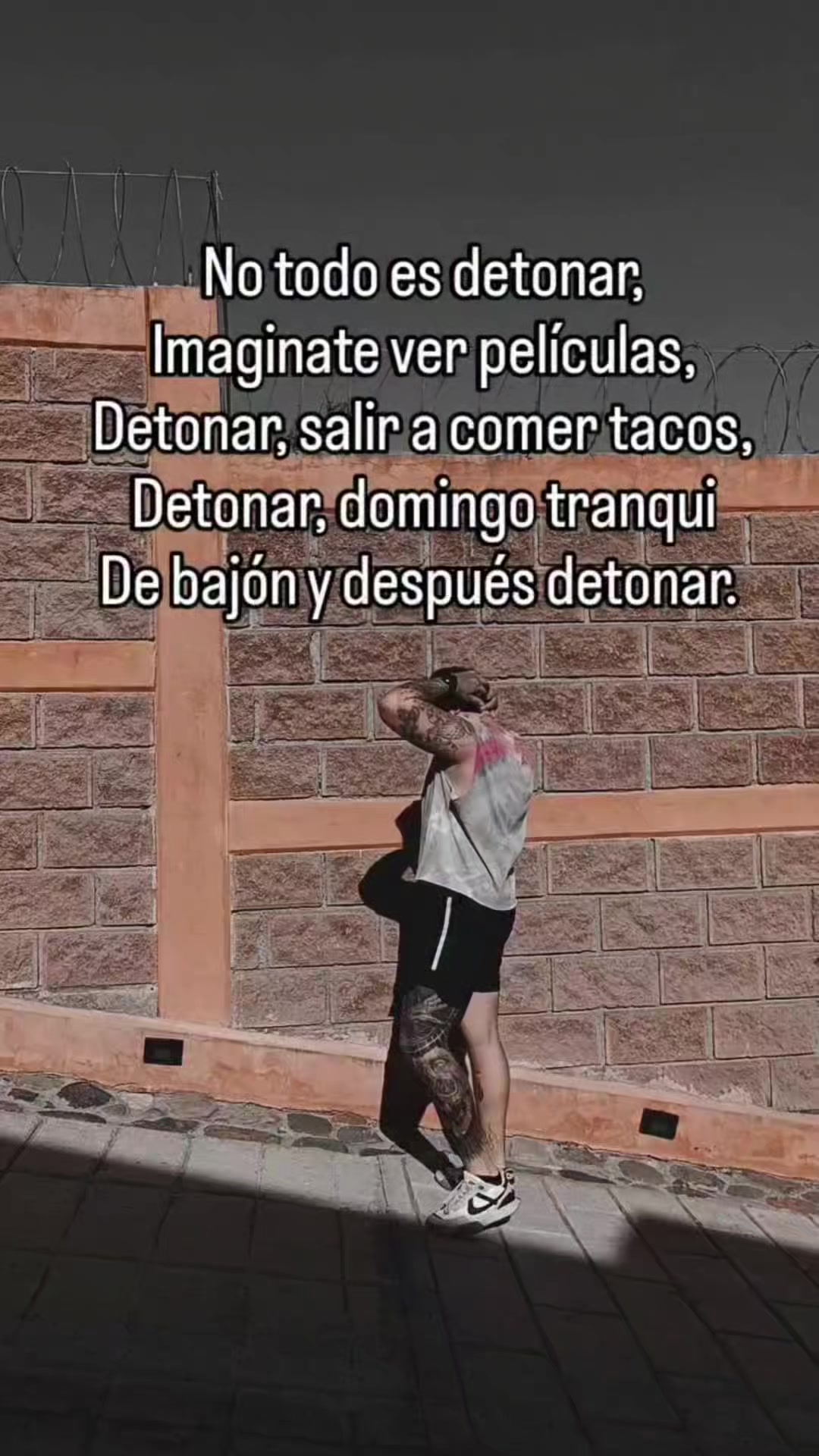 @Tavozdk