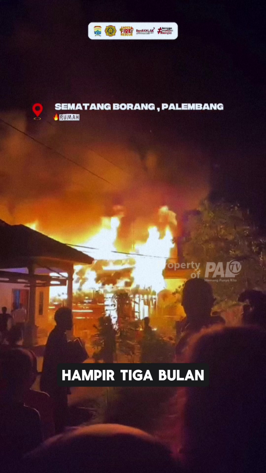 @Paltv-Memang Punyo Kito