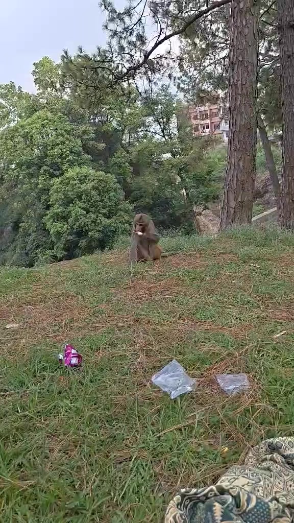 @Rajesh Deula