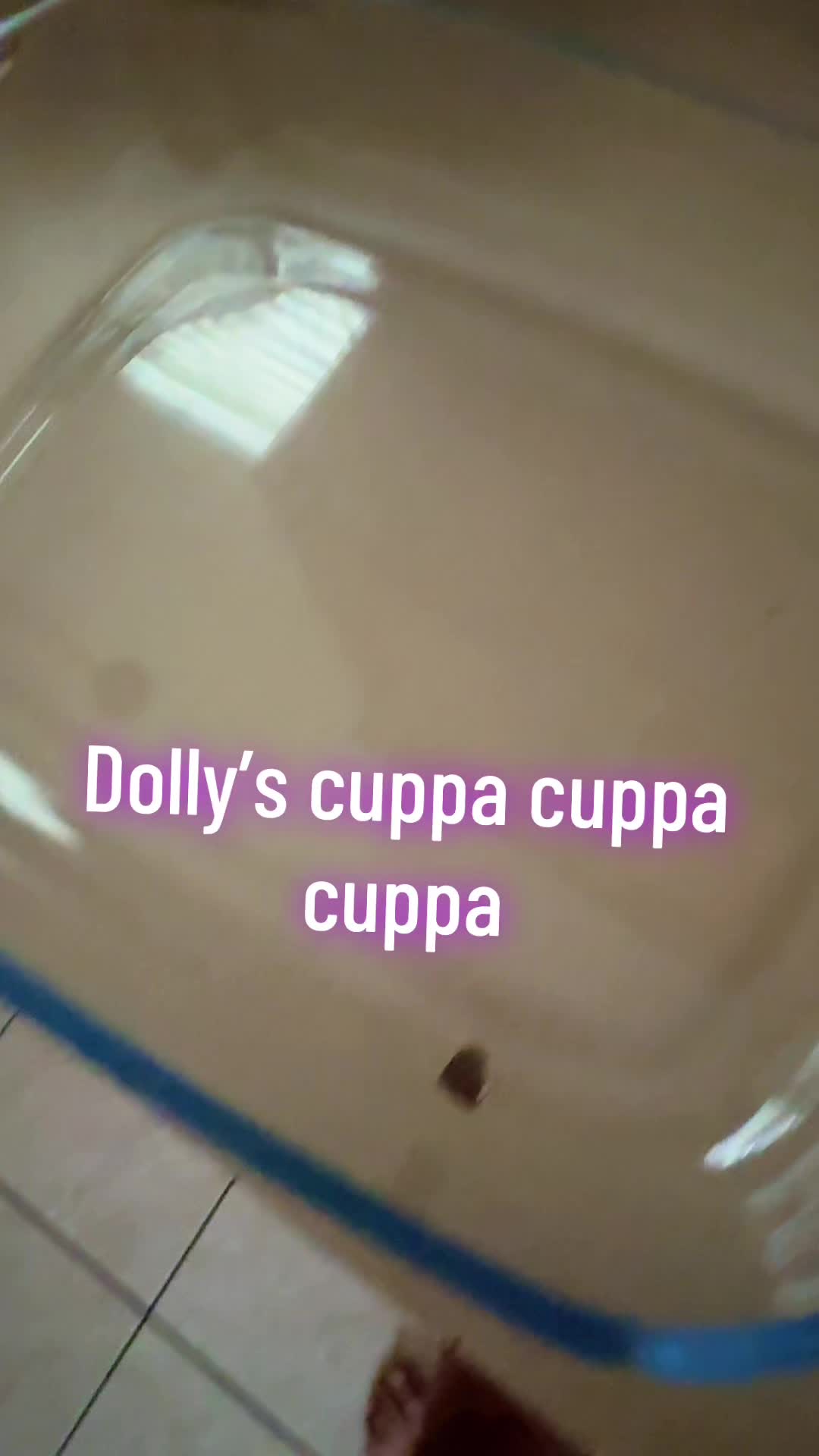 @SouthernBaby🦆