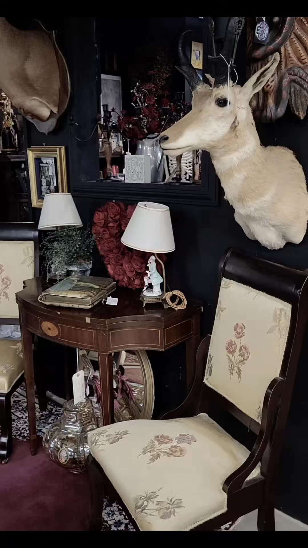 @blackorchidcuriosities